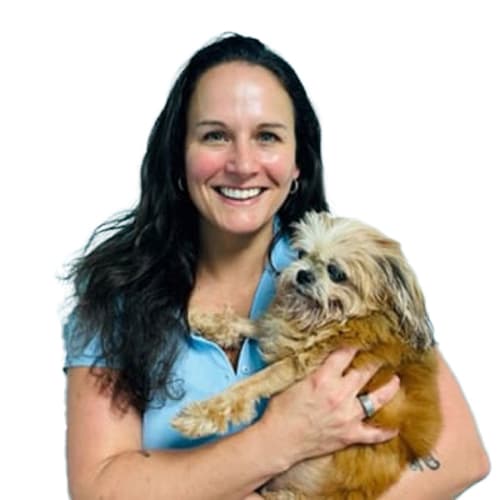 Dr. Kristen Brauer, Ocala Veterinarian